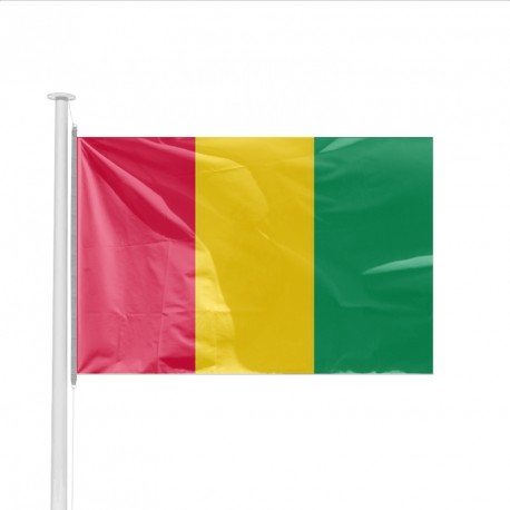 Drapeau de la Guinée, Drapeaux du pays Guinée